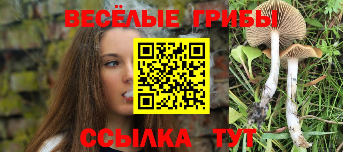 Галлюциногенные грибы GOLDEN TEACHER  Галлюциногенные грибы Psilocybine cubensis  Вход с VPN  Обь 