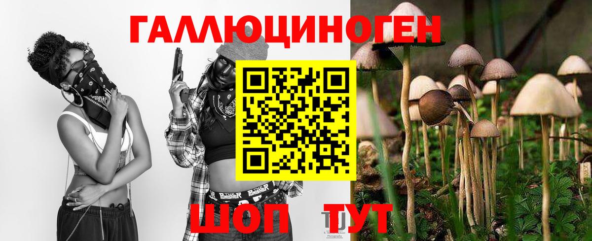 Галлюциногенные грибы GOLDEN TEACHER Обь