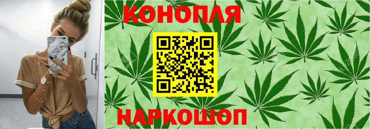 МЕФ Обь